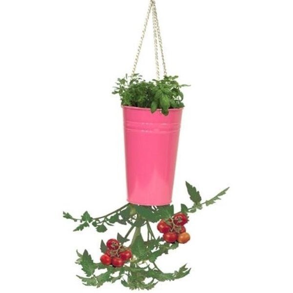 Houston International Trading 8398E HPK Enameled Galvanized Upsidedown Tomato Pepper Hanging Planter; HotPink, Houston International Trading, Mfr#: 8398E HPK